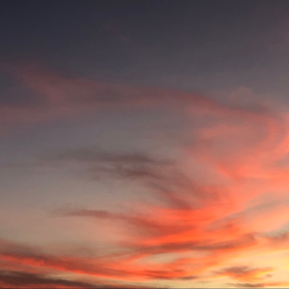 Meet your Posher, Chloe - Picture 1 of 1